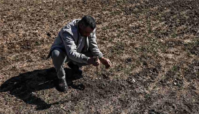 6 سنوات عجاف.. الجفاف يفتك بالموسم الزراعي في المغرب