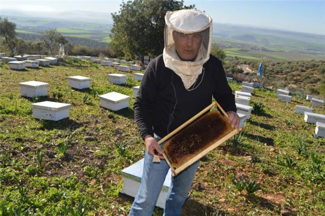 نحالو المغرب يقاومون خطة حكومية مثيرة للجدل تهدد أعمالهم